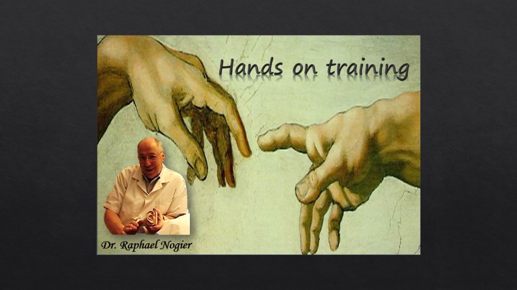 handsonnogier